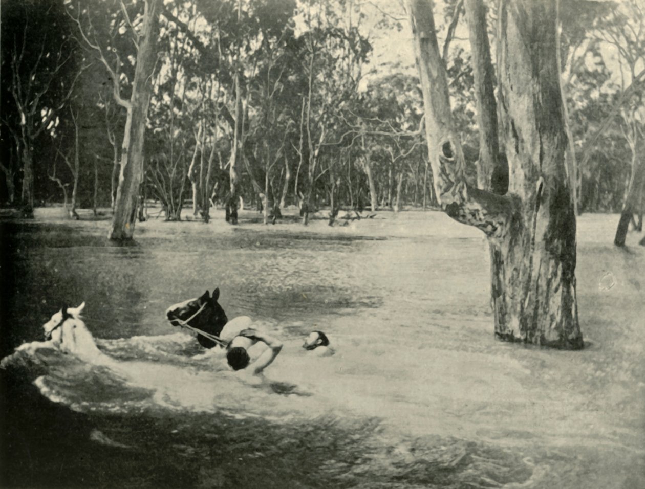 Um banqueiro, 1901. de Unbekannt