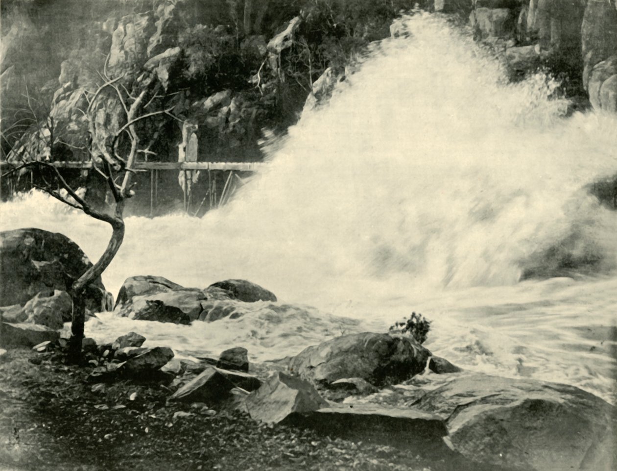 Uma grande onda no desfiladeiro da catarata, perto de Launceston, 1901. de Unbekannt