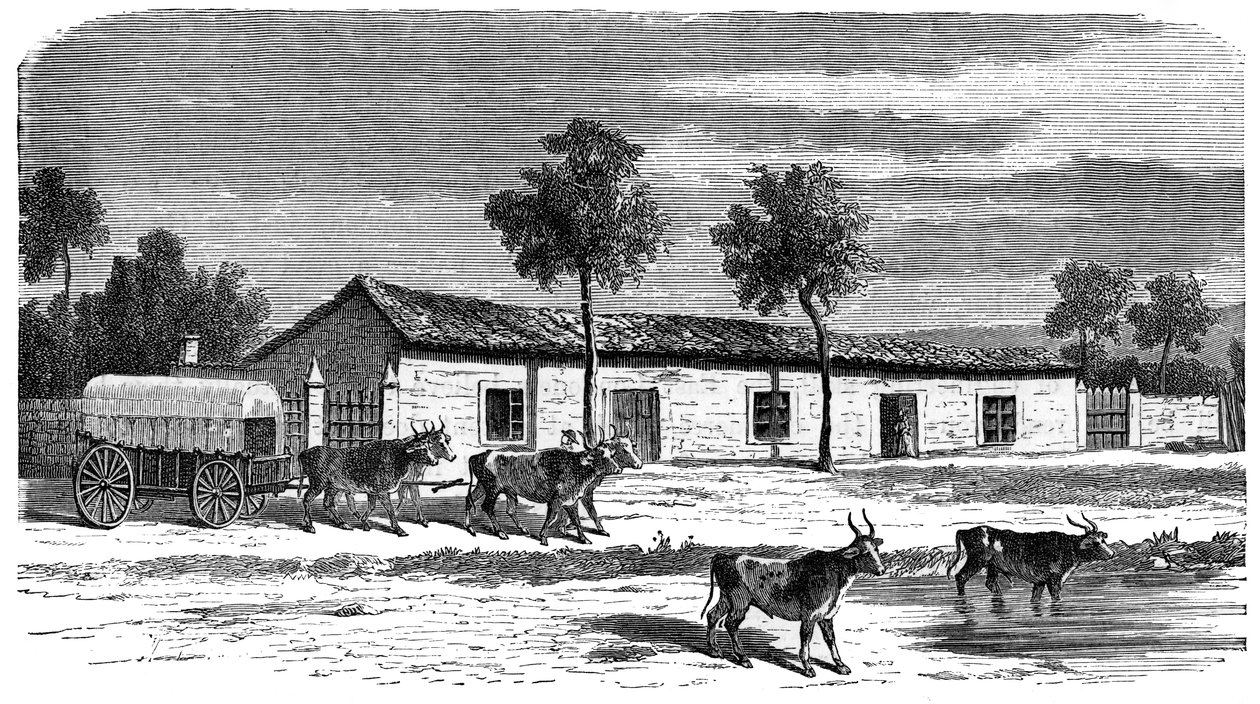 Uma fazenda Boer, África do Sul, c1890 de Unbekannt