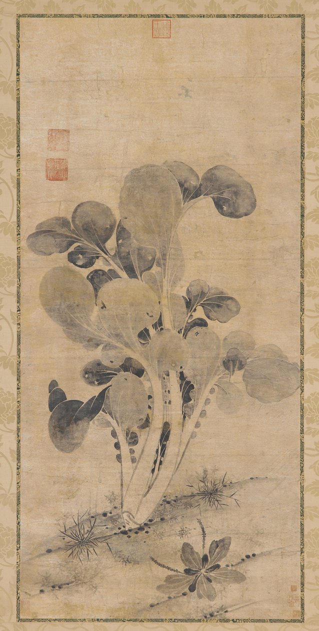 Uma planta de repolho, final de Yuan ou início da dinastia Ming, século XIV-XV. de Unbekannt