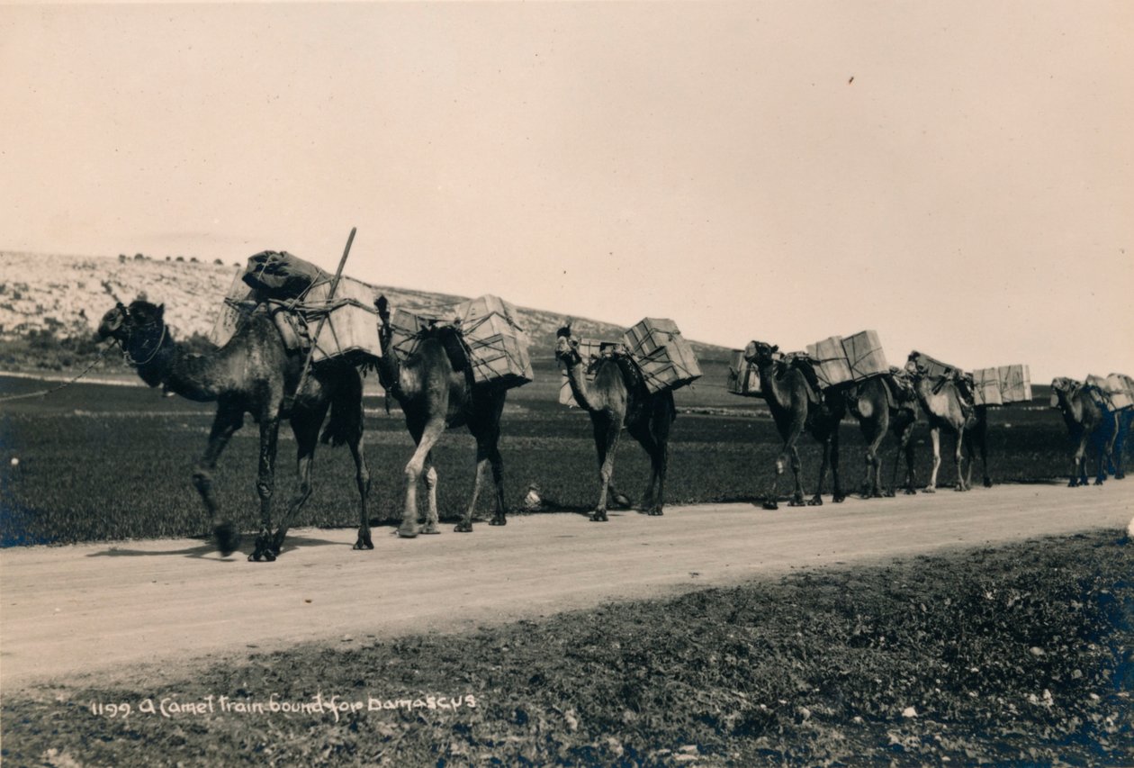 Um trem de camelo com destino a Damasco, 1936 de Unbekannt