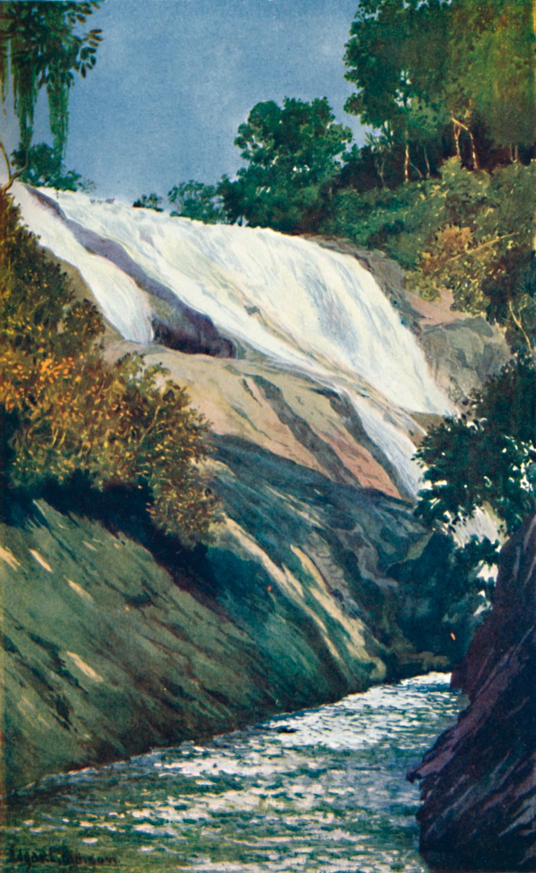 A Cascade at Tijuca, Rio, 1914 de Unbekannt