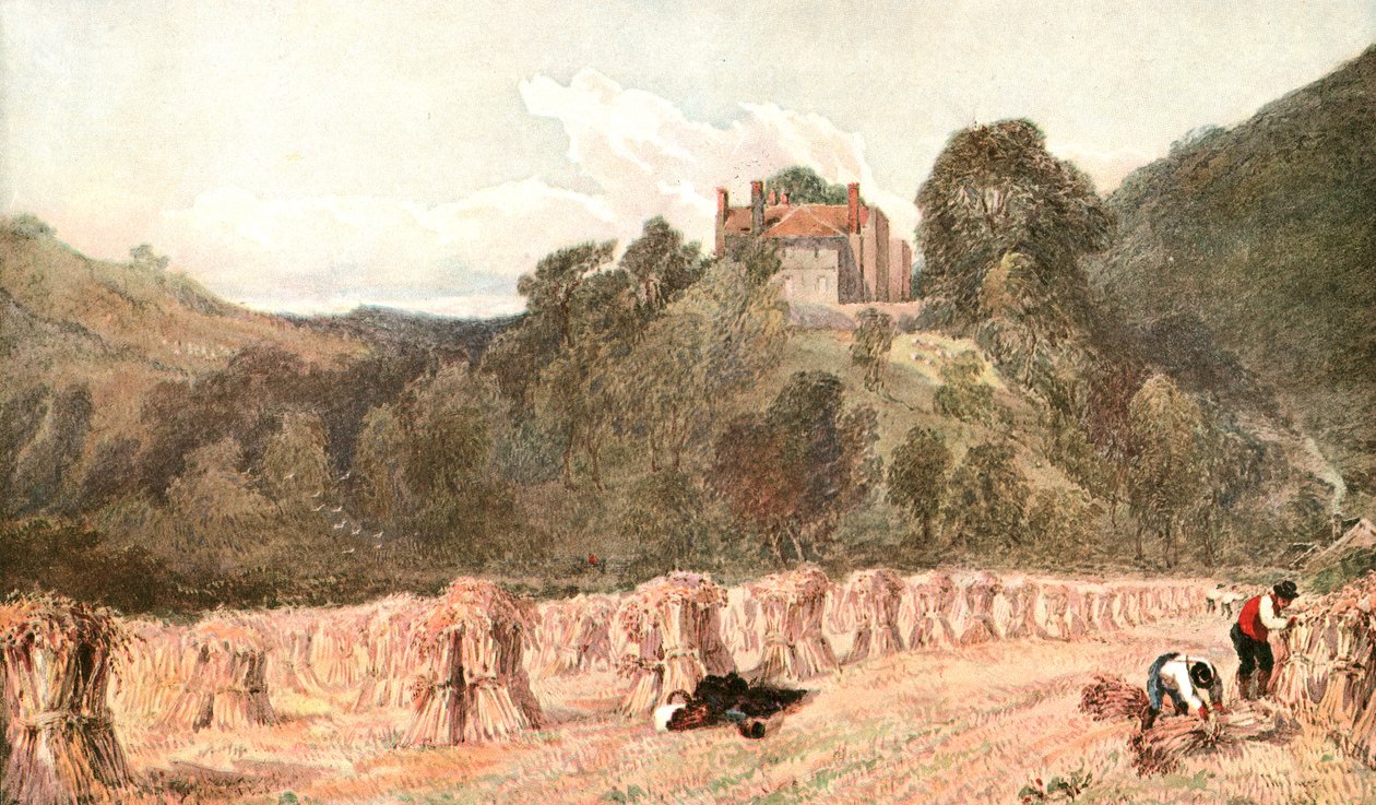 Um campo de milho, c1840s, c1900. de Unbekannt