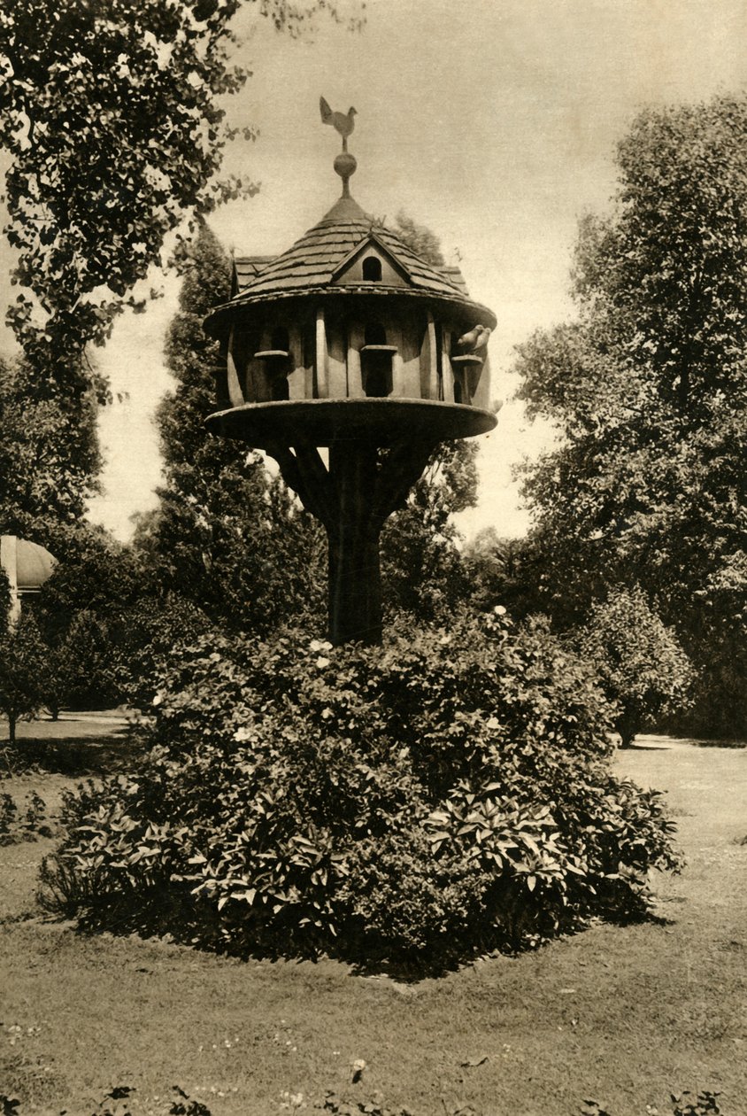 Um pombal - no jardim da marquesa de Bute, St. Johns Lodge, Regents Park, 1920. de Unbekannt