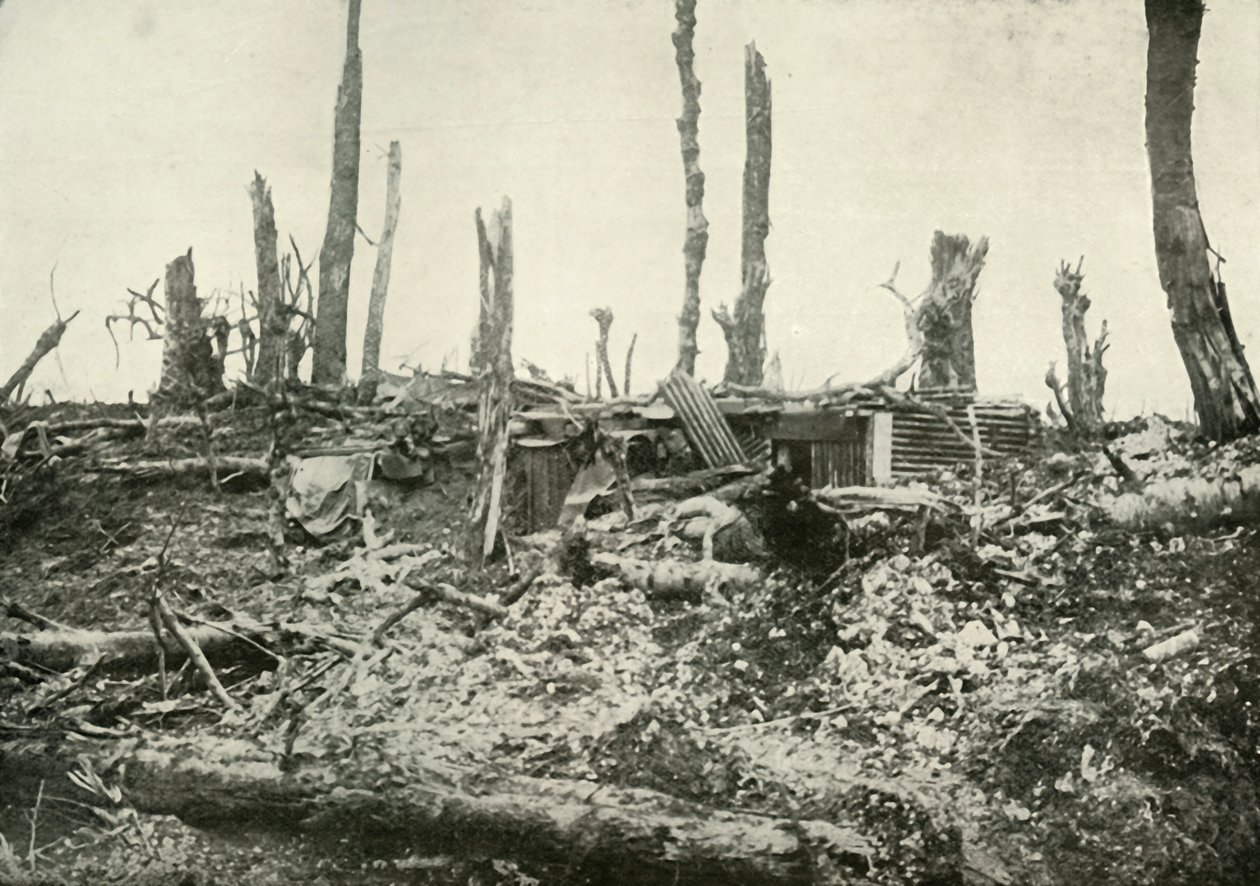 Uma escavação no que antes era uma floresta silvestre, 1919. de Unbekannt