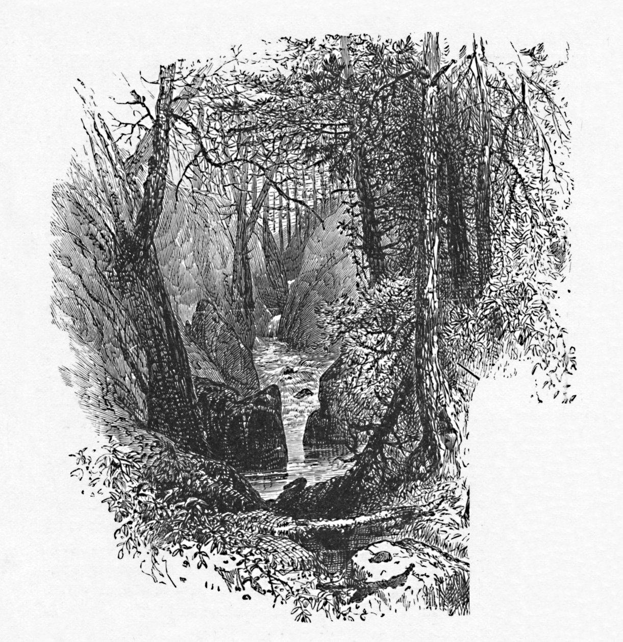 Um alimentador para o lago, 1883 de Unbekannt