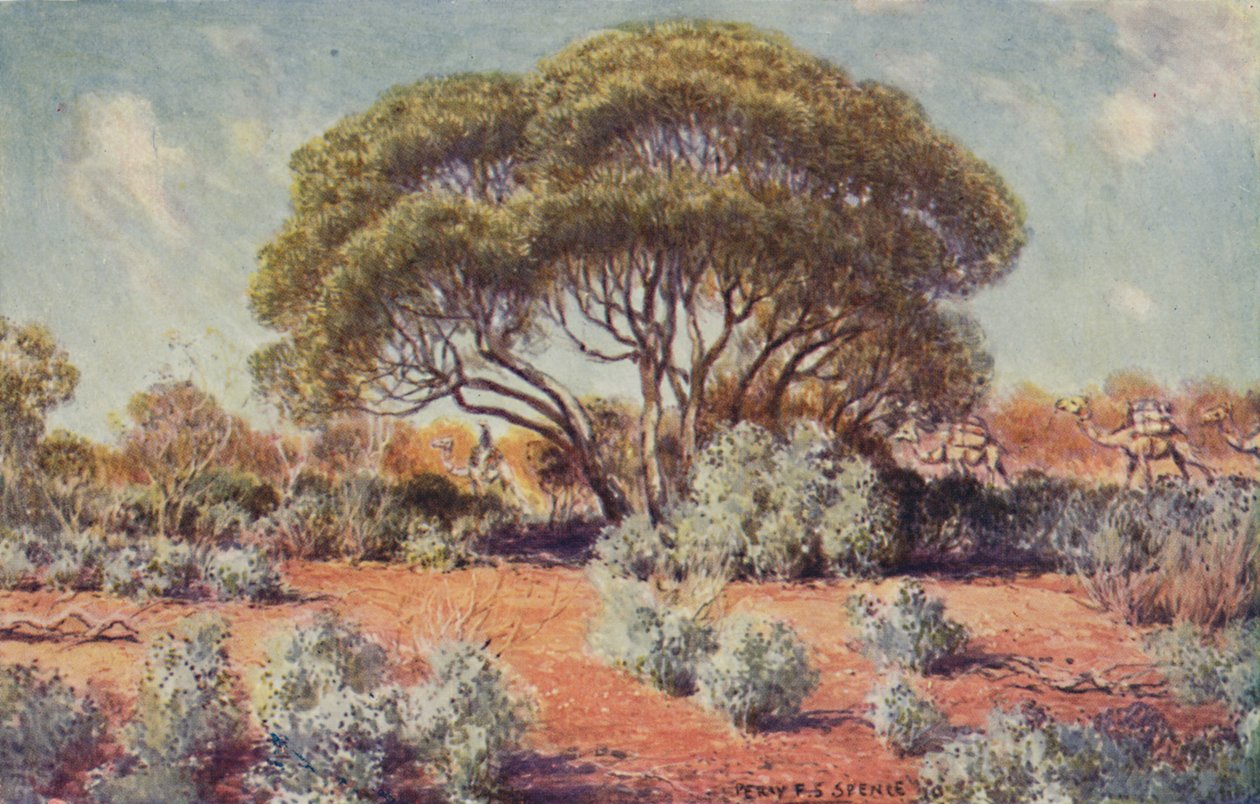 Um local fértil na Austrália Central, 1923. de Unbekannt