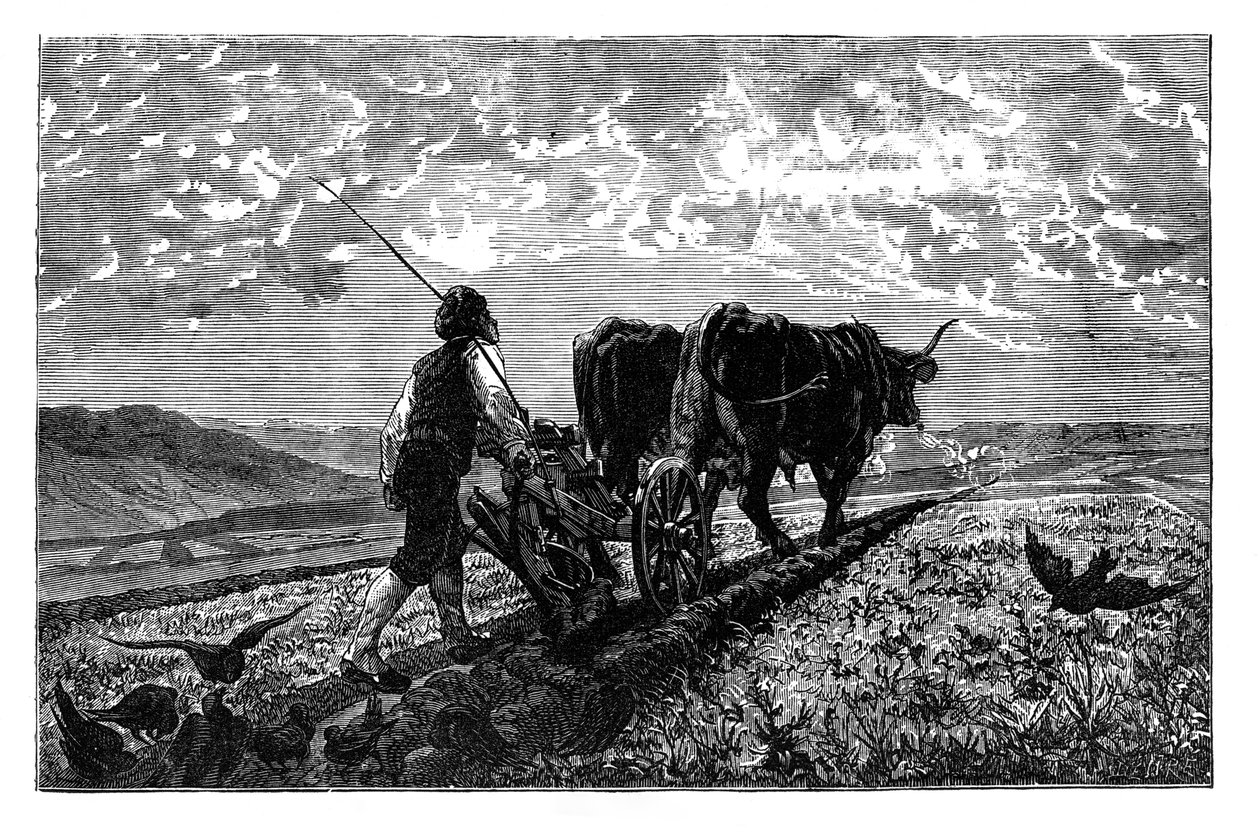 Um agricultor francês, c1890 de Unbekannt