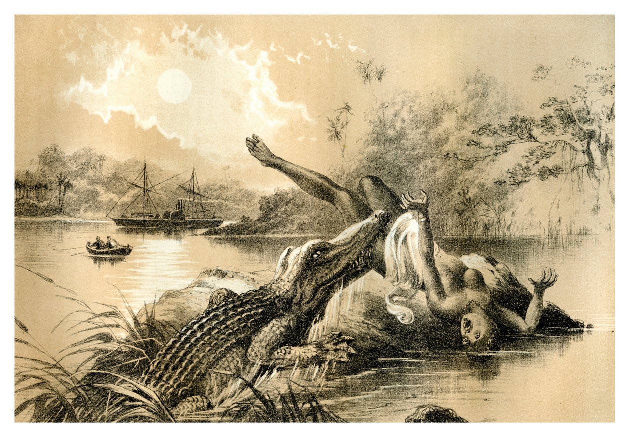 Um incidente terrível, 1883 de Unbekannt