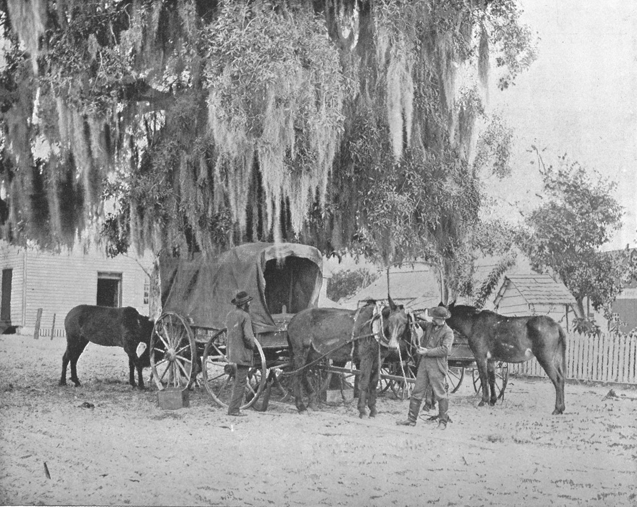 Um comerciante de San Antonio, Texas, EUA, c1900. de Unbekannt
