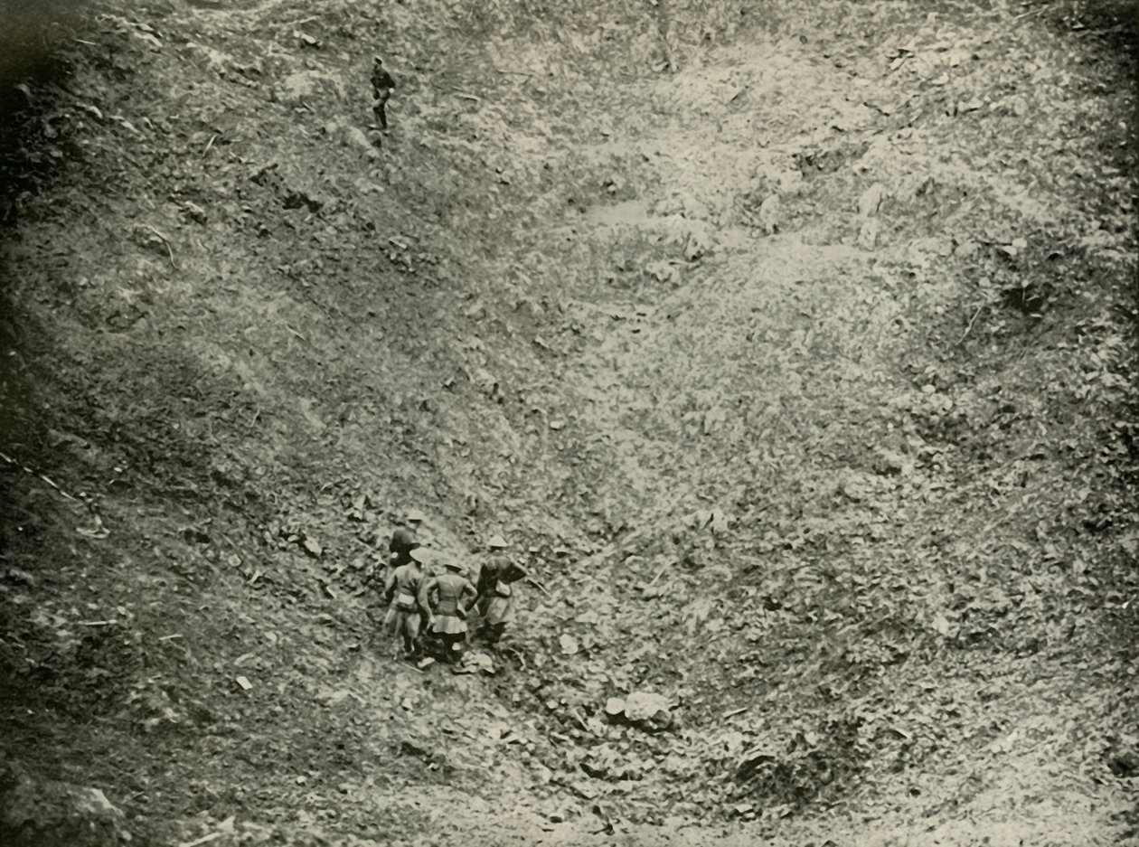 Uma cratera de mina em High Wood, 1919. de Unbekannt