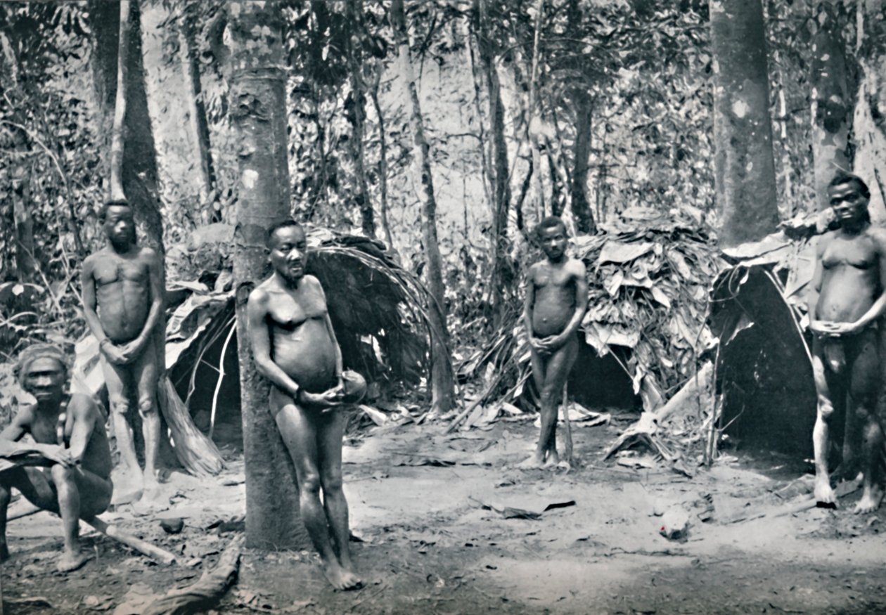 Uma aldeia pigmeu, Bacia do Nordeste do Congo, 1912 de Unbekannt