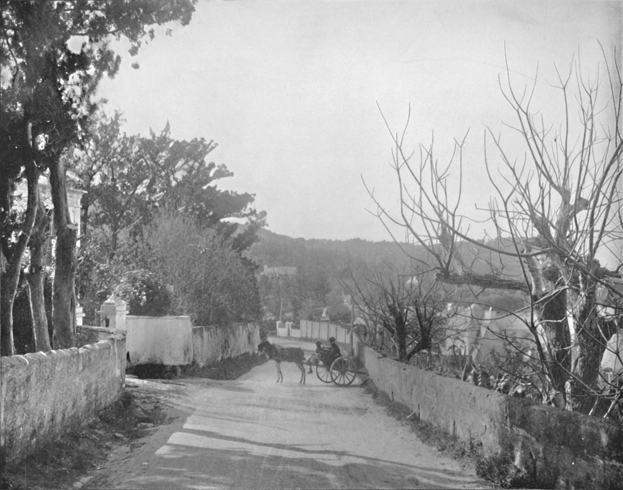 Uma estrada em Port Royal, Bermuda, século XIX de Unbekannt