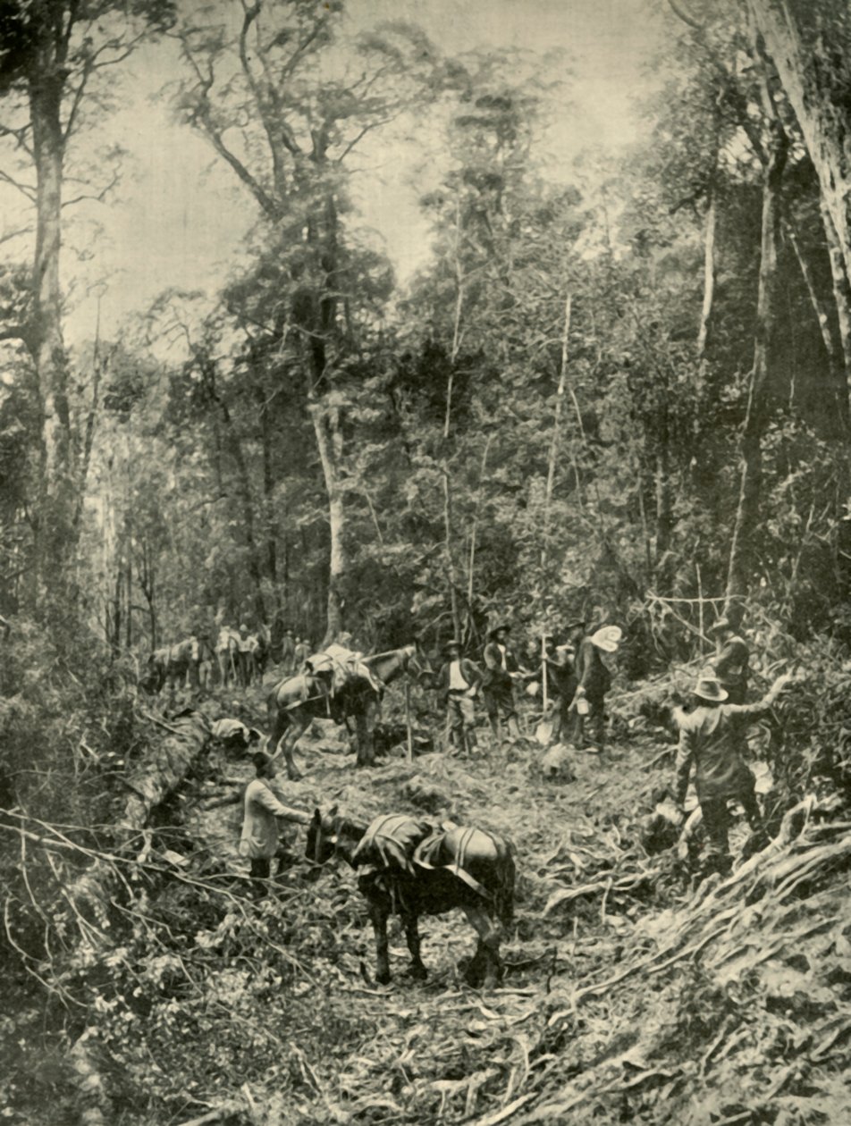 Uma estrada áspera, Tasmânia, 1901. de Unbekannt