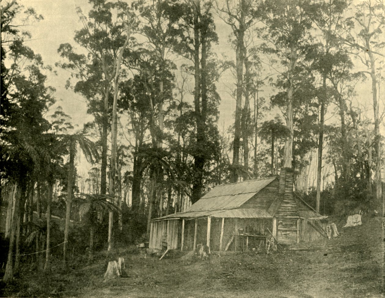 Uma habitação rústica, 1901. de Unbekannt