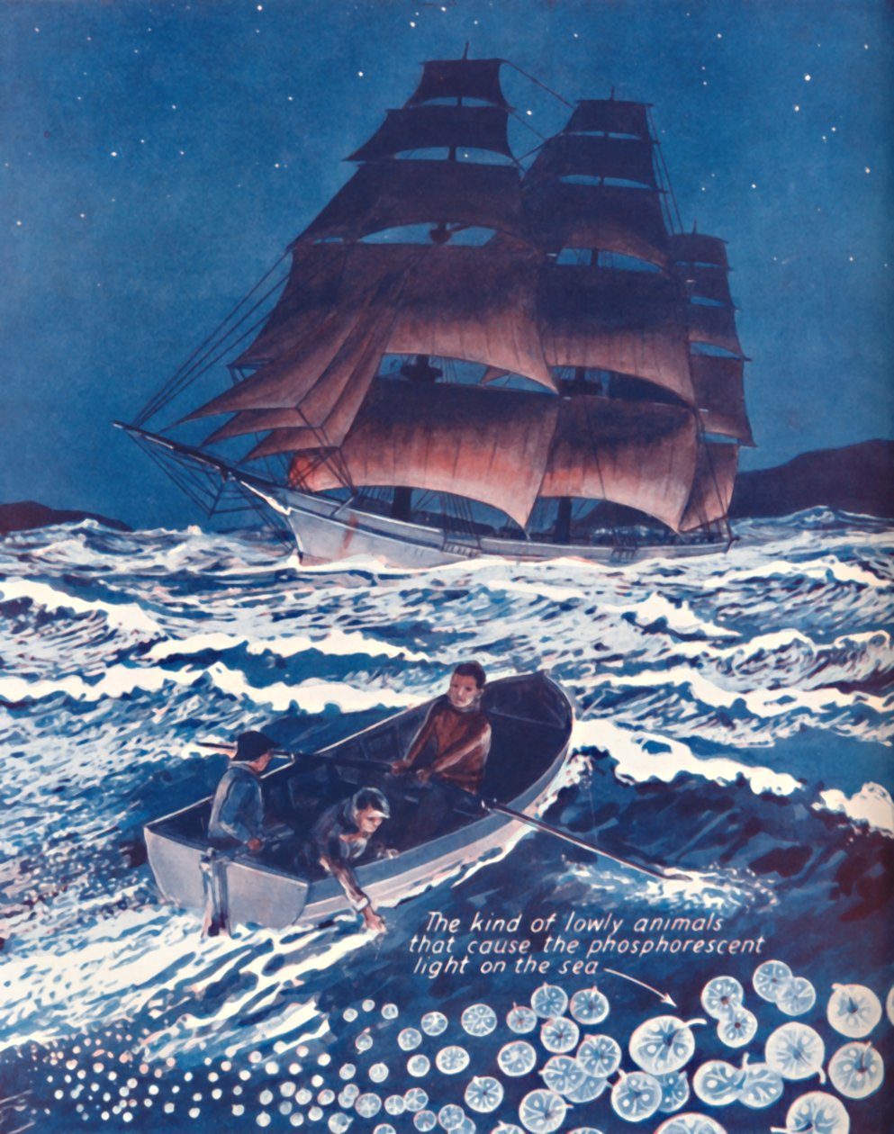 Um mar iluminado por luzes noturnas vivas, 1935 de Unbekannt