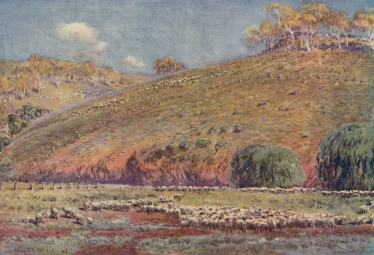 Um carneiro, 1923. de Unbekannt