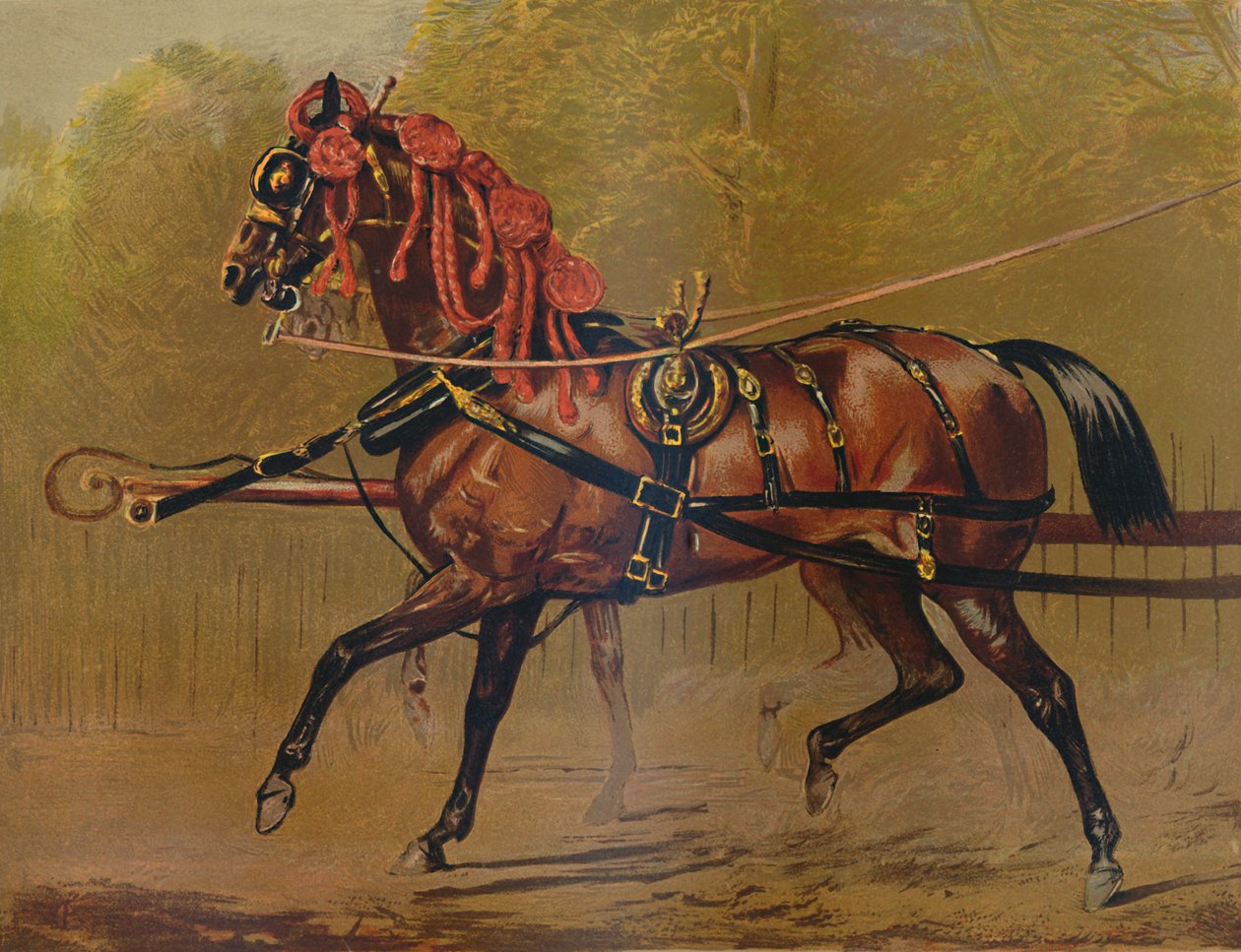 Um cavalo de carruagem do estado, c1879. de Unbekannt
