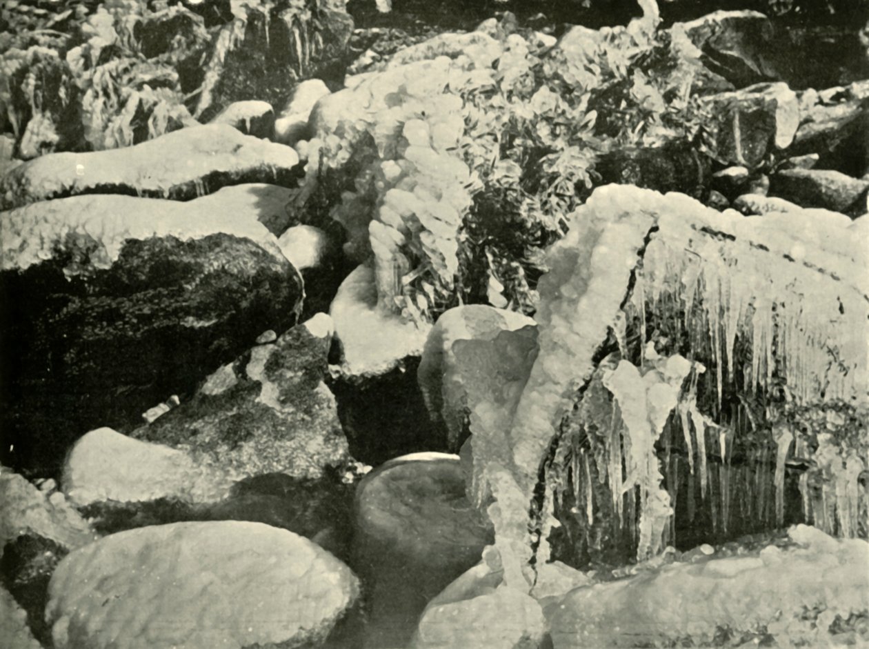 Uma cena de inverno na Nova Inglaterra, 1901. de Unbekannt