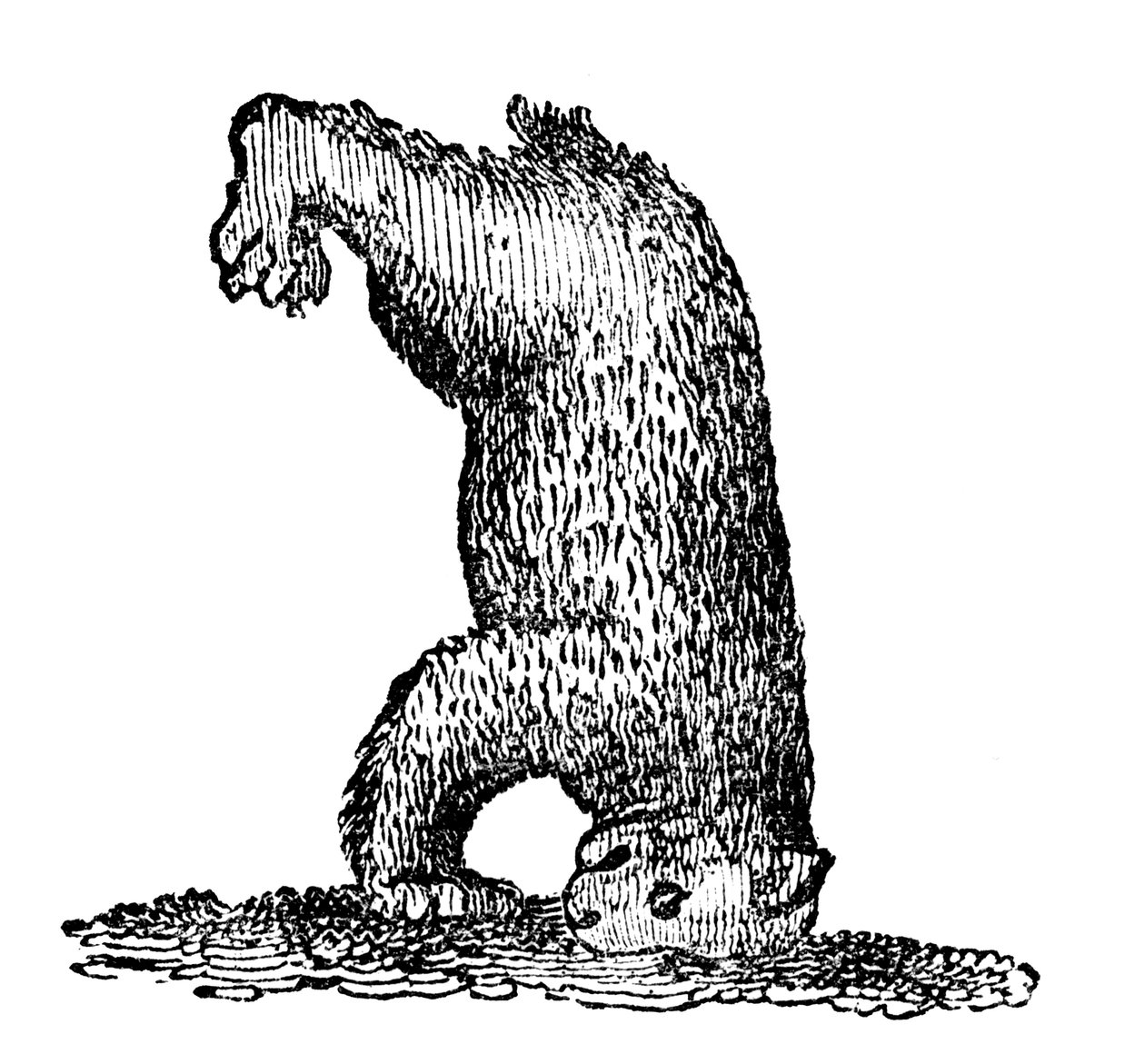 Um urso em pé sobre sua cabeça, século 14, 1833 de Unbekannt