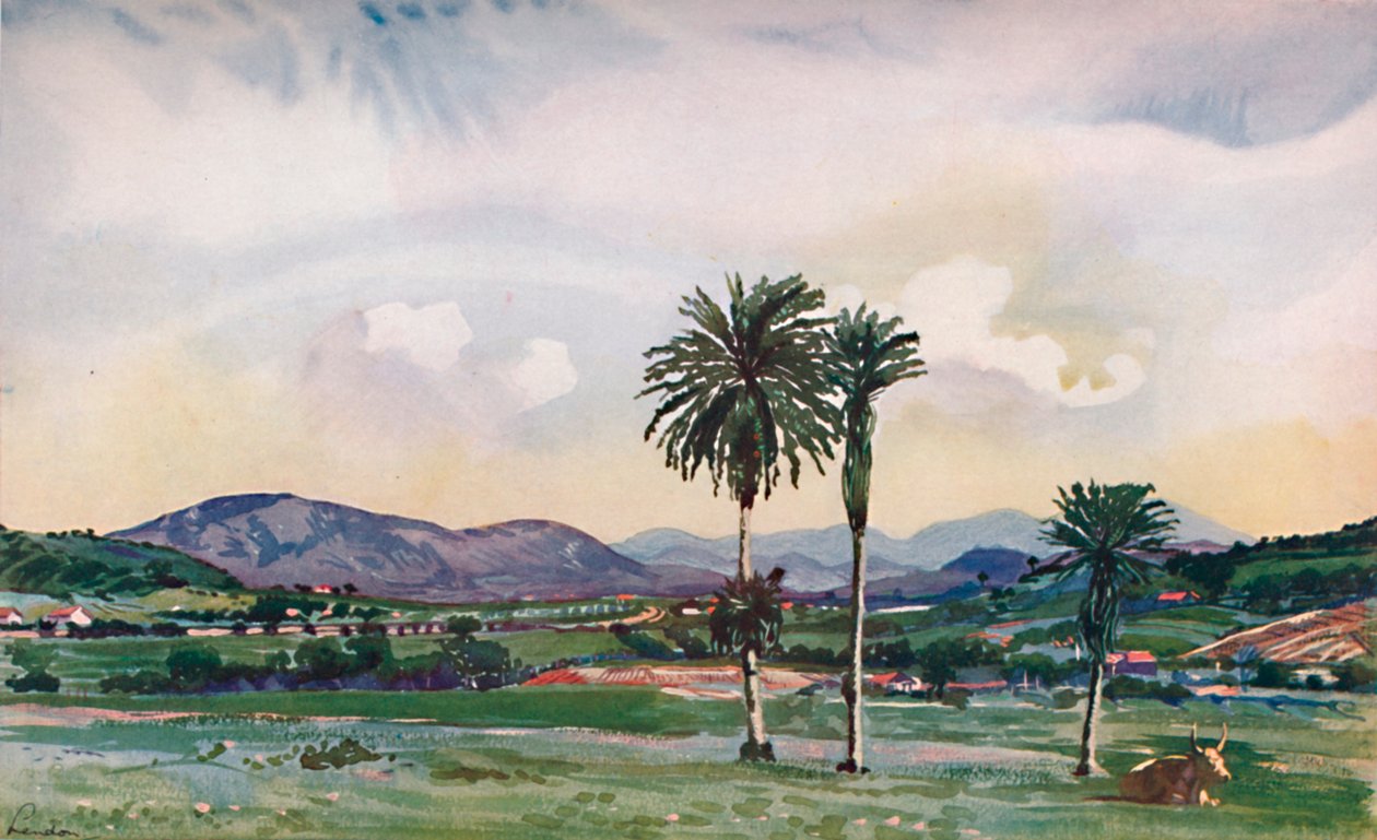 Um pouco dos subúrbios Rios North-Western, ao longo da rota da Ferrovia Central, 1914 de Unbekannt