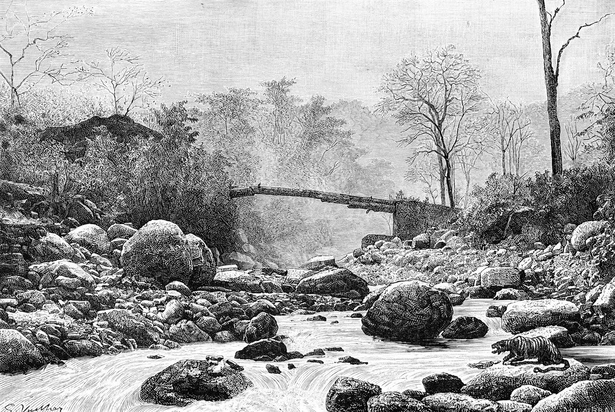 Uma ponte sobre o Rangit, um afluente do rio Teesta, Índia, 1895 de Unbekannt