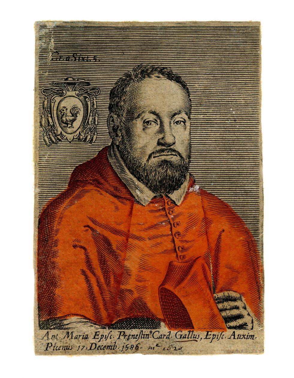 Um cardeal do século XVI de Unbekannt