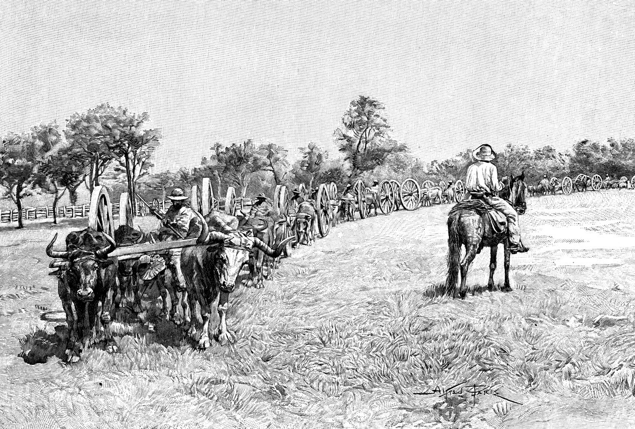 Um comboio de vagões, América do Sul, 1895 de Unbekannt