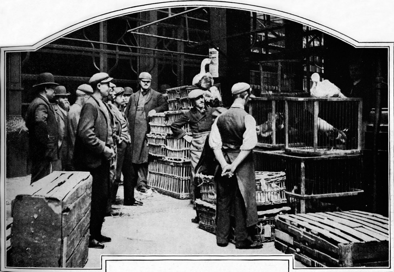 Um canto do mercado Leadenhall, Londres, c1901 1901 de Unbekannt
