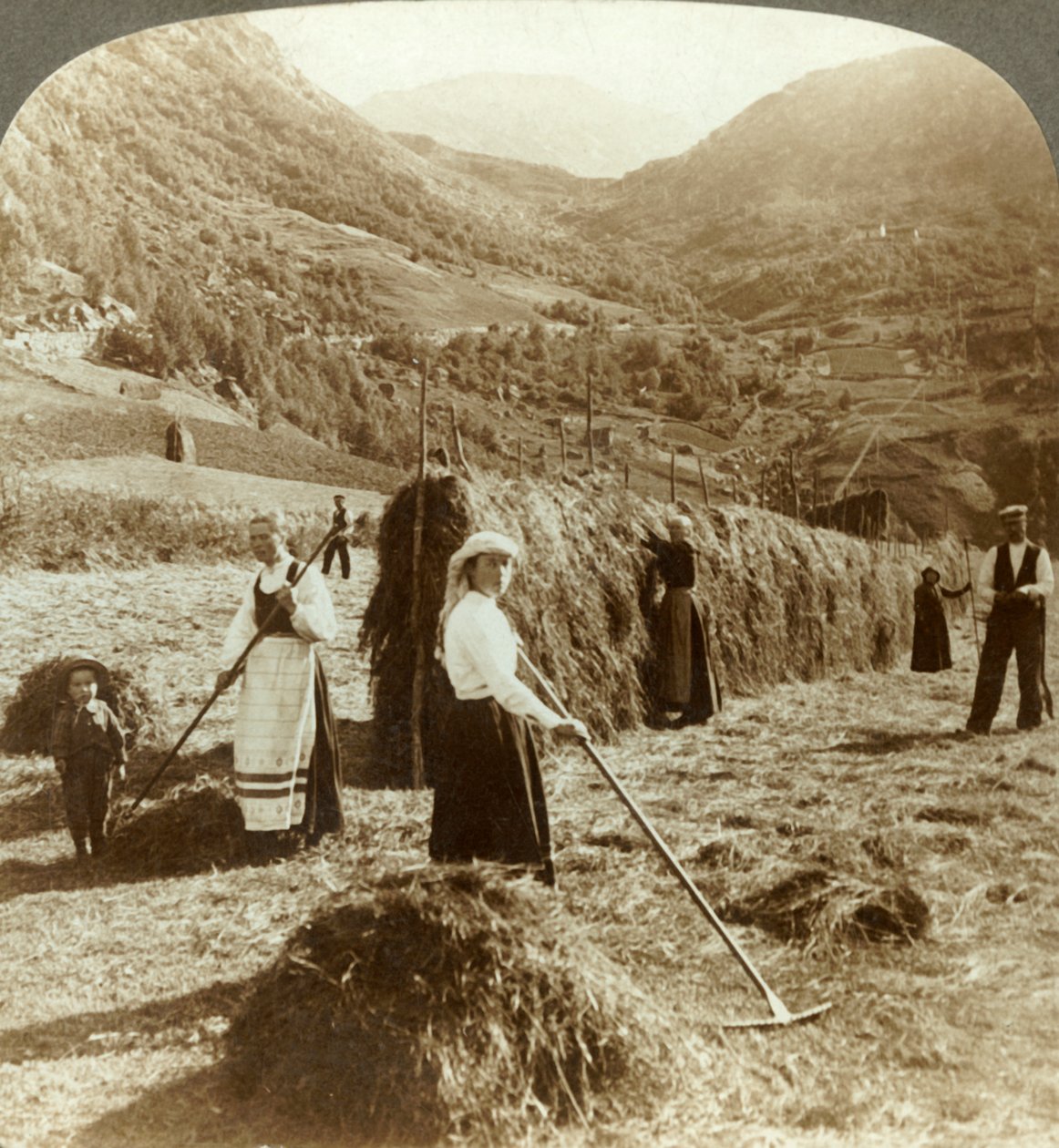 Uma família de fazendeiros que faz o feno em um campo ensolarado entre as montanhas, Roldal, Noruega, c1905. de Unbekannt
