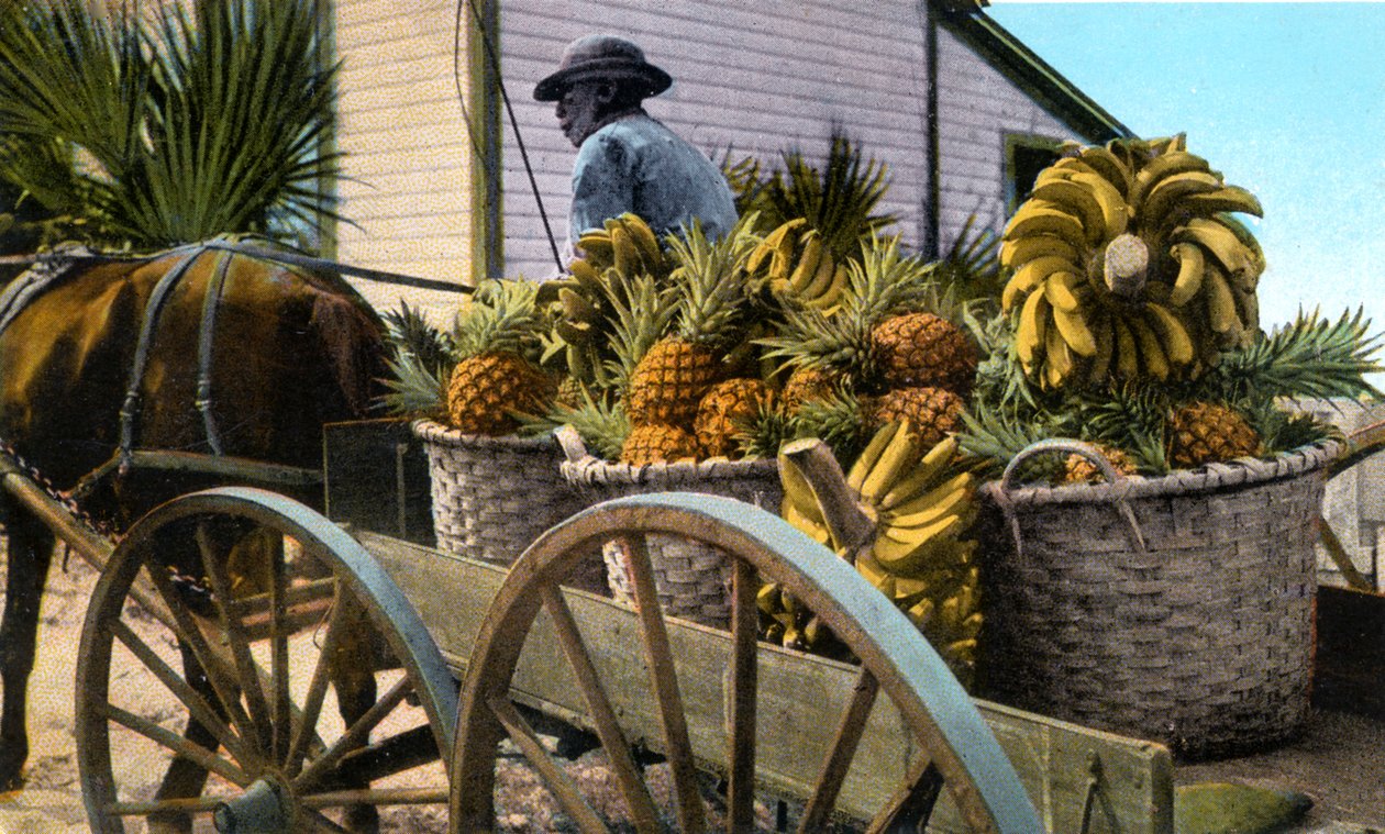 Um comerciante de frutas, Taboga Island, Panamá, início do século XX de Unbekannt