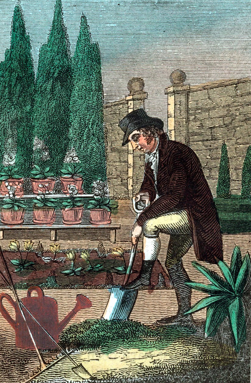 Um jardineiro cavando com uma pá, 1821 de Unbekannt