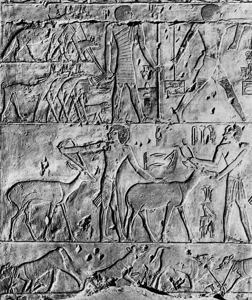 Uma cena de caça do túmulo de Ptahhotep, perto de Saqqara, Egito, c2650 aC 1936 de Unbekannt