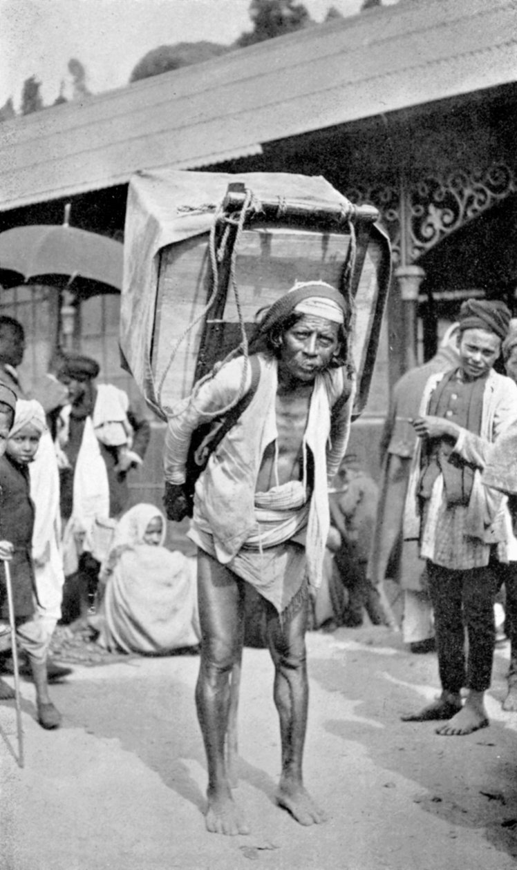 Um trabalhador carregando chá, Darjeeling, Bengala Ocidental, Índia, c1910 de Unbekannt