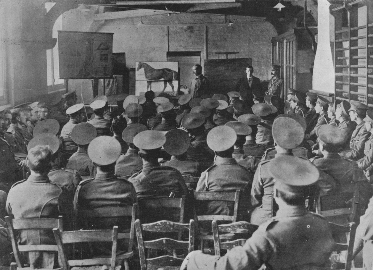 Uma palestra sobre a anatomia do cavalo, 1915 de Unbekannt