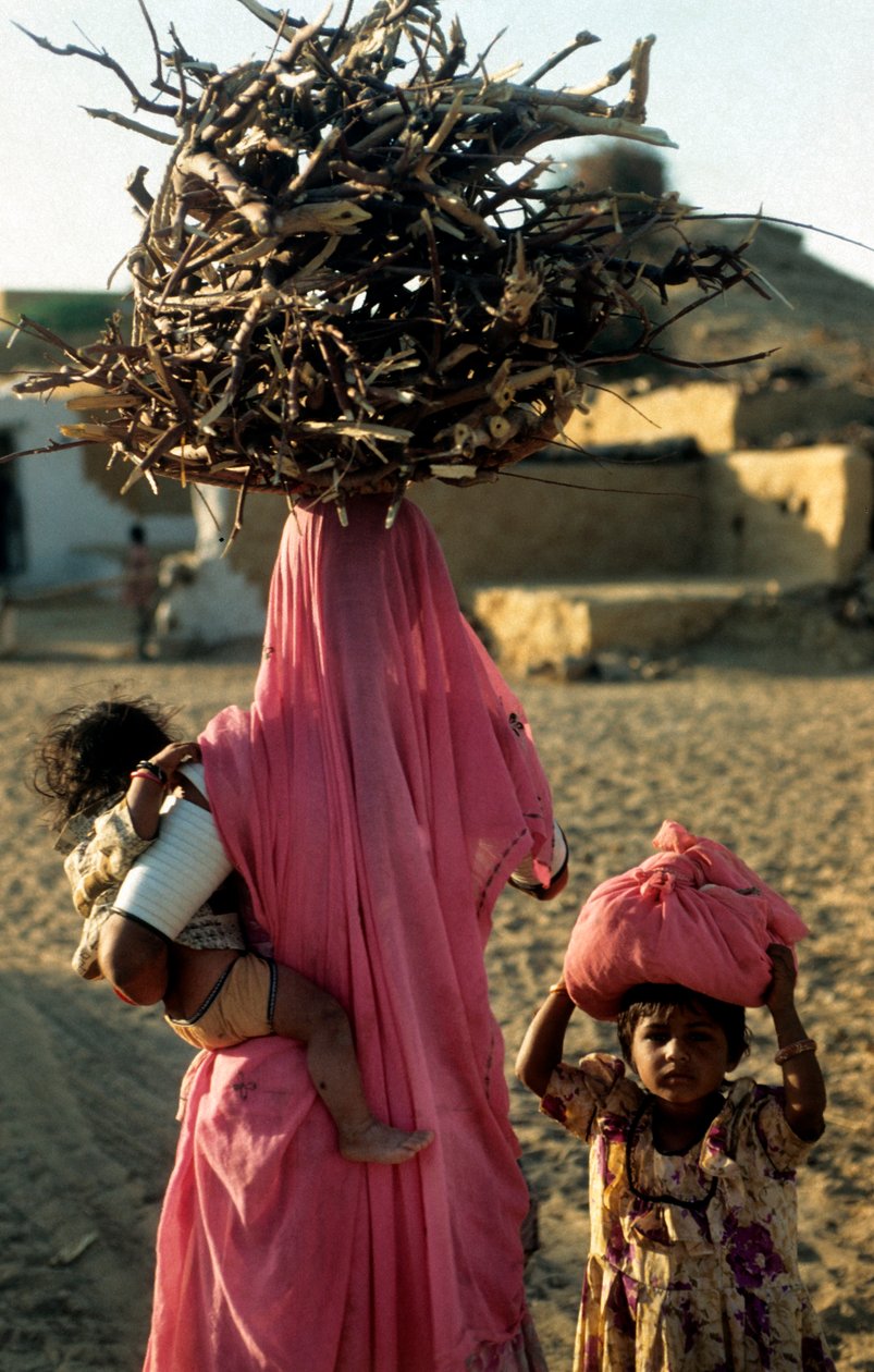 Uma família local de corte de madeira de uma aldeia em Rajasthan. Rajasthan, Índia. 25 de fevereiro de 2005. (foto) de Unbekannt