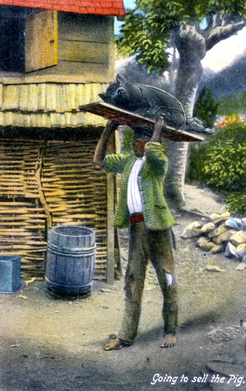 Um homem a caminho do mercado para vender um porco, Jamaica, c1900s de Unbekannt