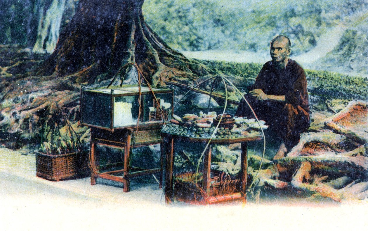 Um homem que vende frutas debaixo de uma árvore, Hong Kong, China, c1900s de Unbekannt