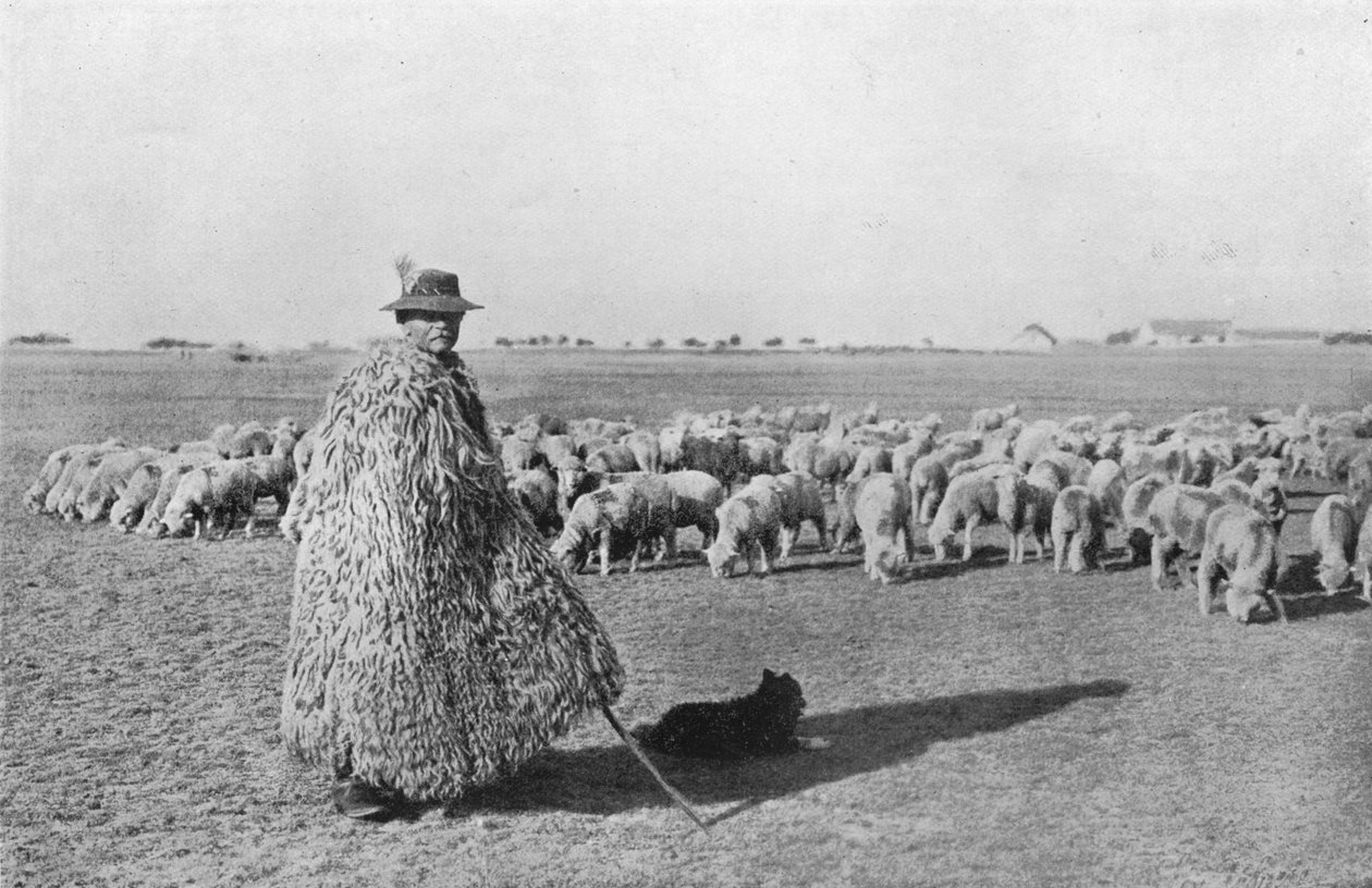 Um pastor típico e seu rebanho nas planícies da Hungria, 1915 de Unbekannt