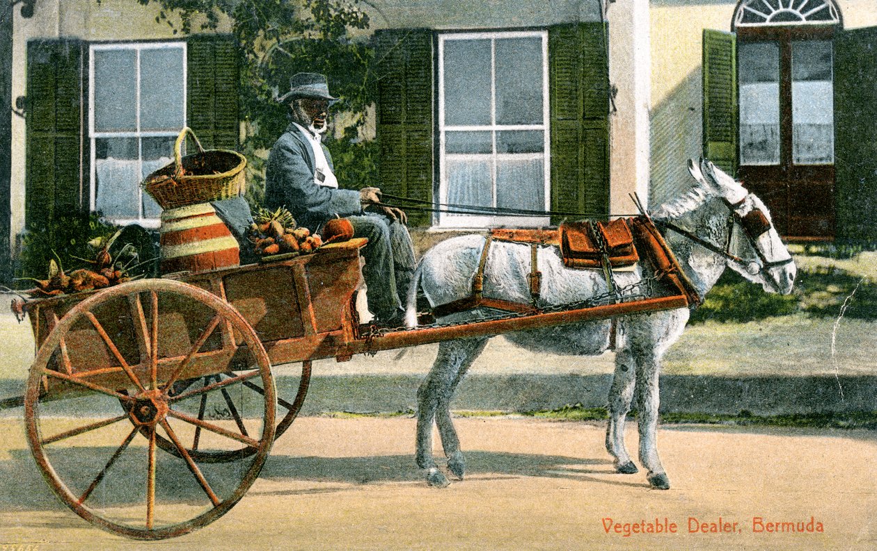 Um revendedor de vegetais, Bermudas, c1900s de Unbekannt