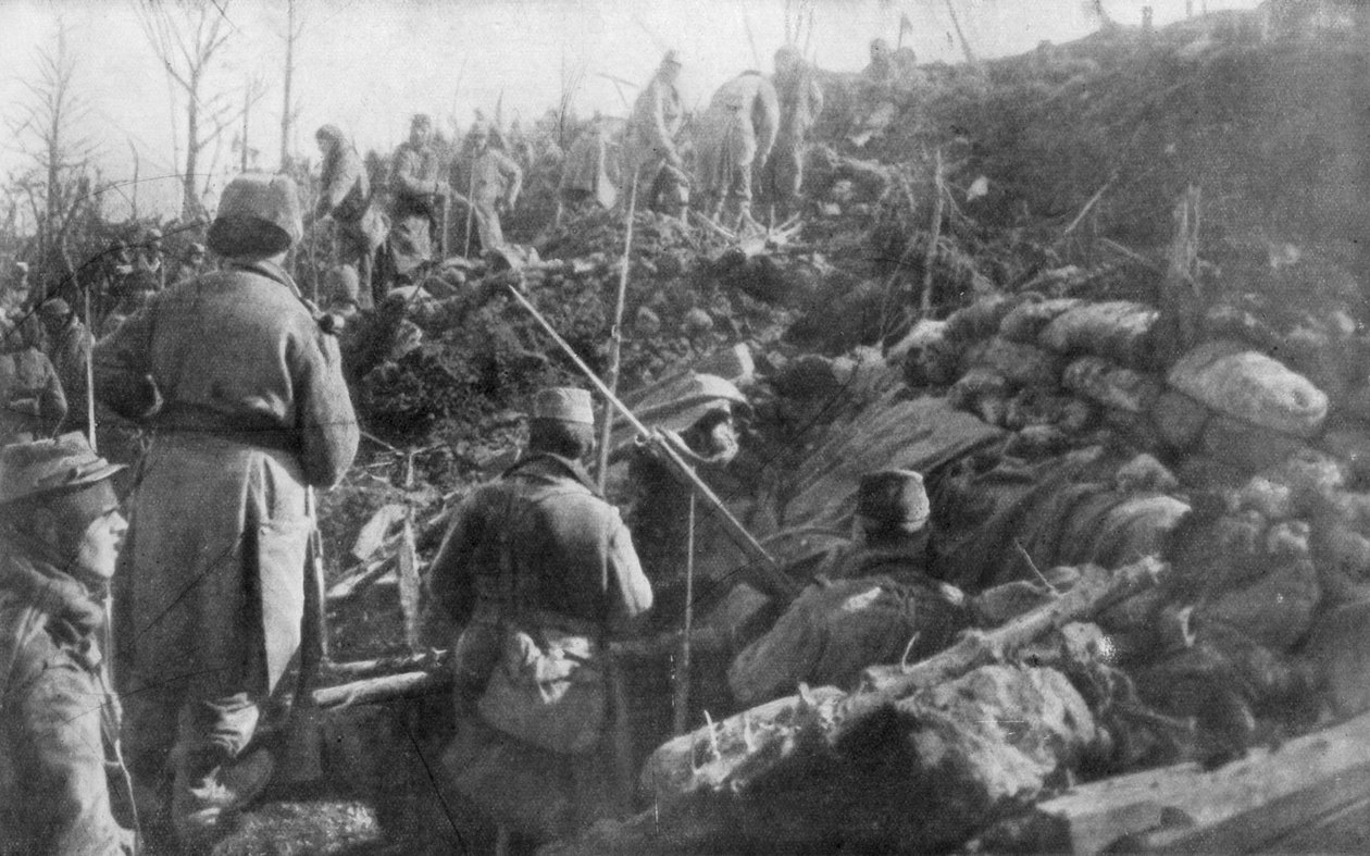 Trincheiras alemãs abandonadas, cume de Eparges, perto de Verdun, França, agosto de 1915 de Unbekannt