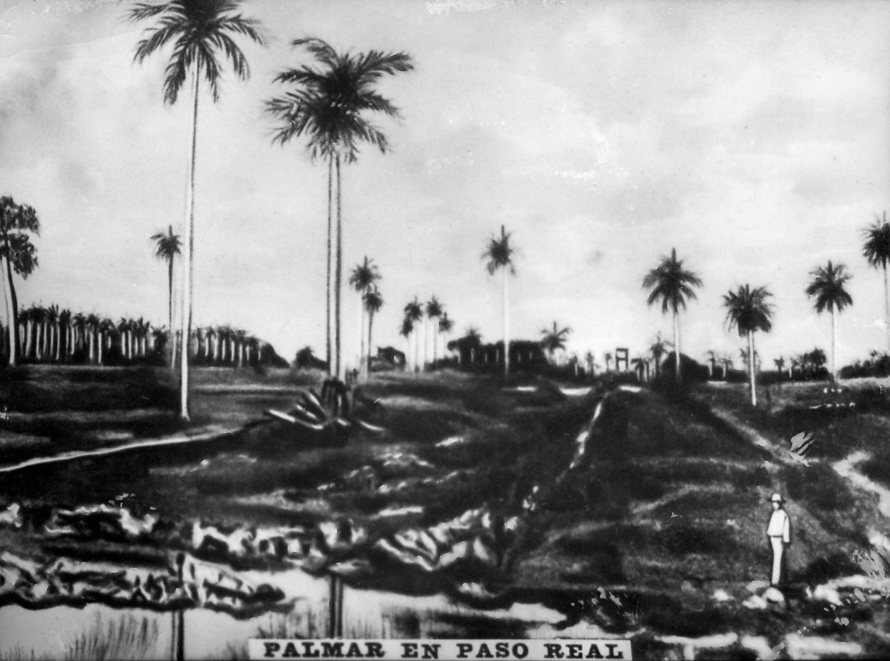 Ação de PasoReal, 1896, 1920 de Unbekannt