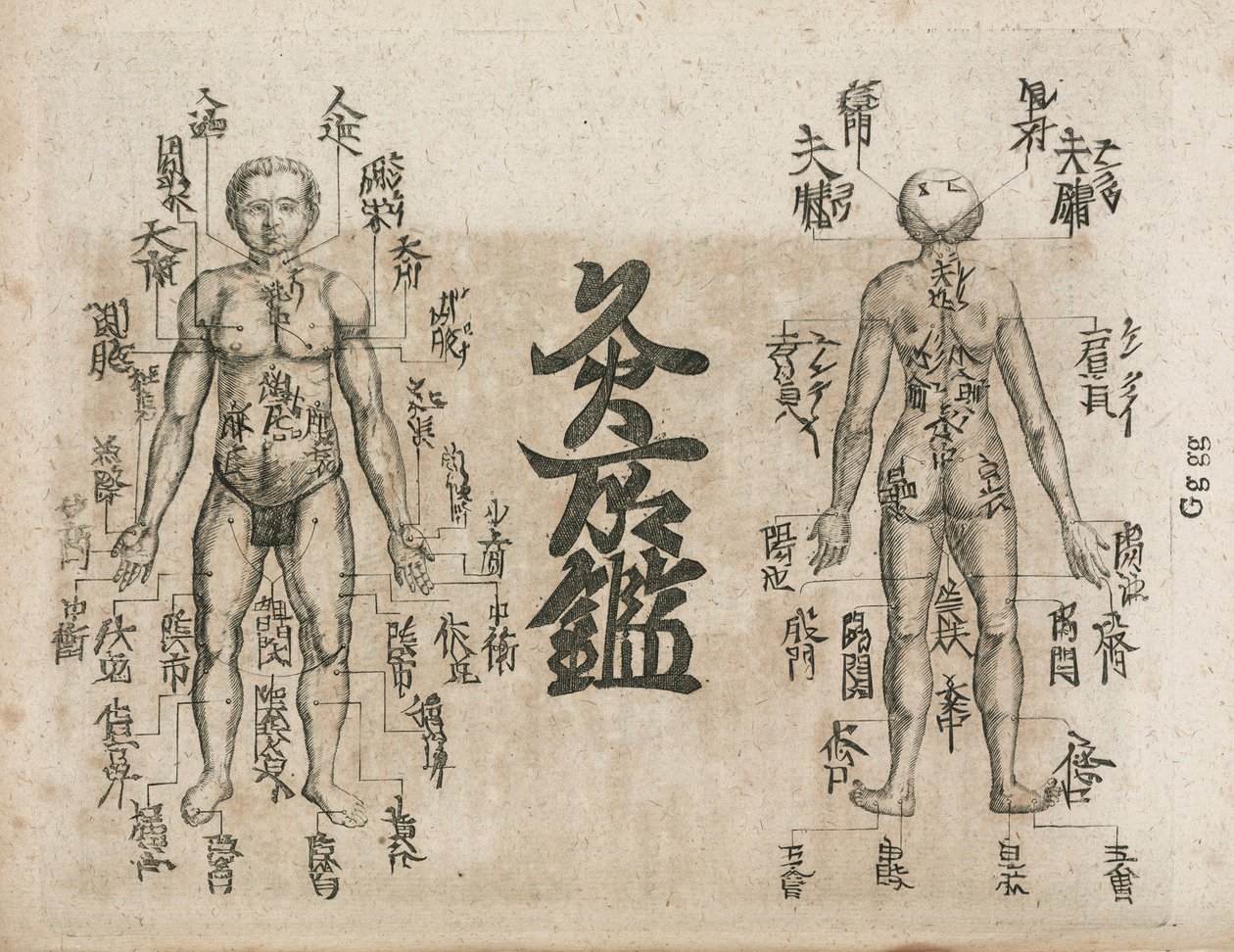 Acupunctura carte du corps humain indiquant les points de moxibustion (Diagrama de Moxabustão mostrando onde a singeleza deve ser evitada de Unbekannt