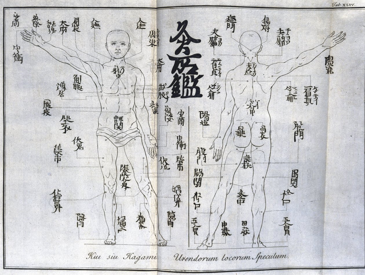 Acupunctura: mapa do corpo humano mostrando pontos de moxabustão, Japão (Gráfico relativo à moxa, c 1690) de Unbekannt