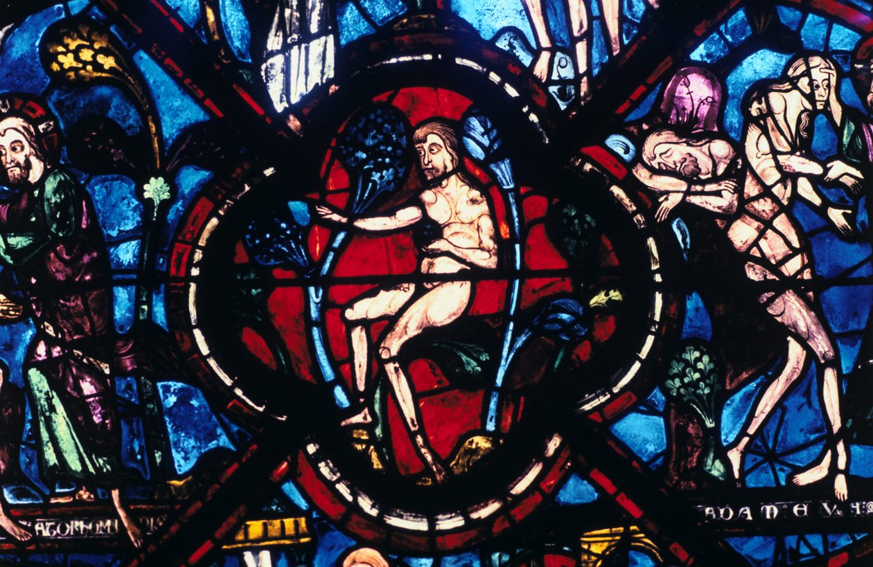 Adam in Eden, vitral, Catedral de Chartres, França, 1205-1215 de Unbekannt