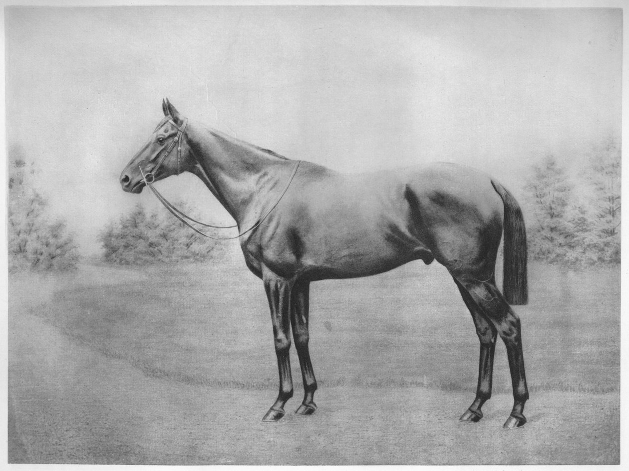 Almirante Togo III, 1911 de Unbekannt