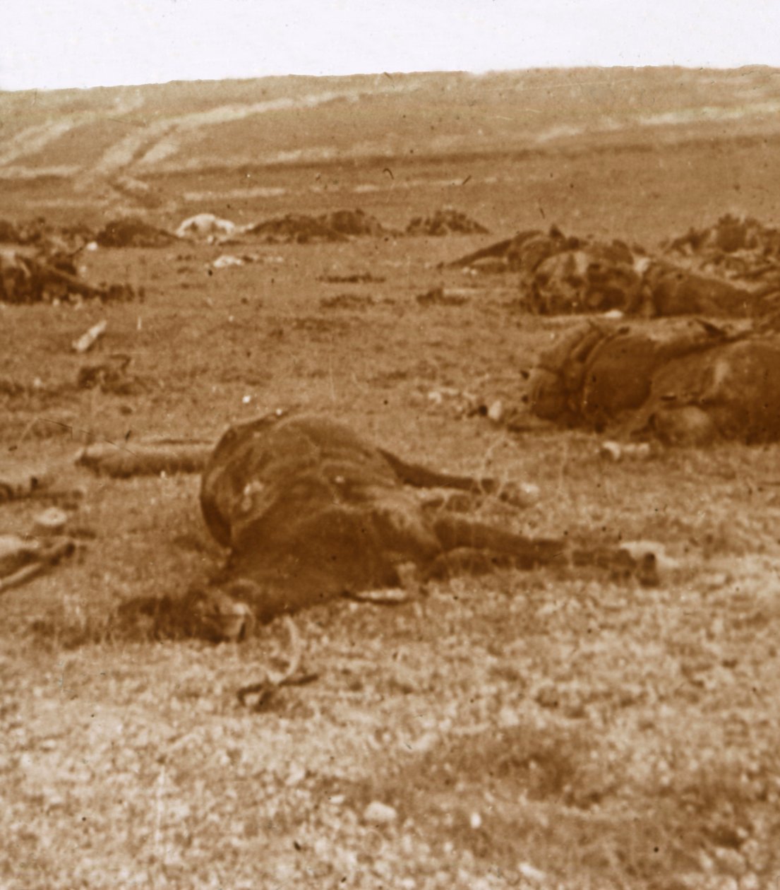 Após a cobrança, Beauséjour, norte da França, c1914-c1918 de Unbekannt