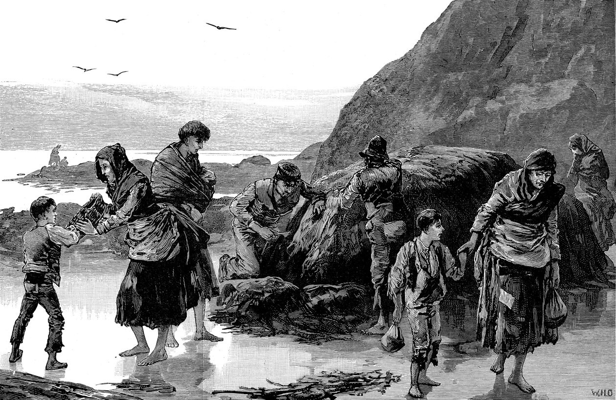 Consequências da fome, Irlanda 1840s, 1886 de Unbekannt