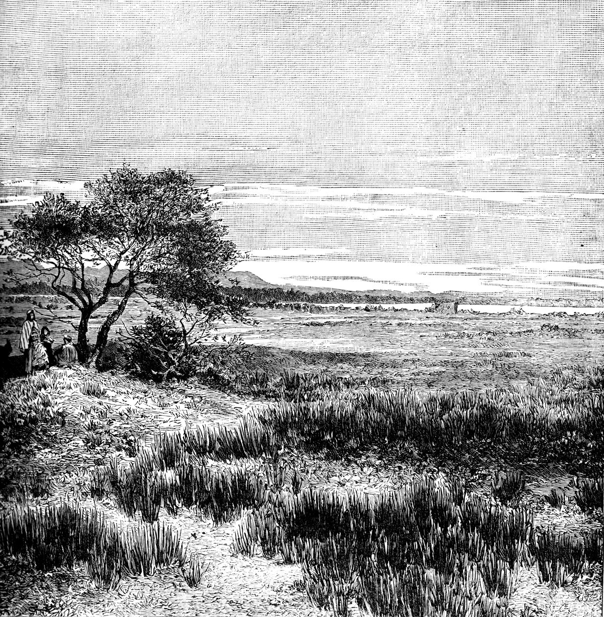 Vale de Agha, Pampa Central, Argentina, 1895 de Unbekannt