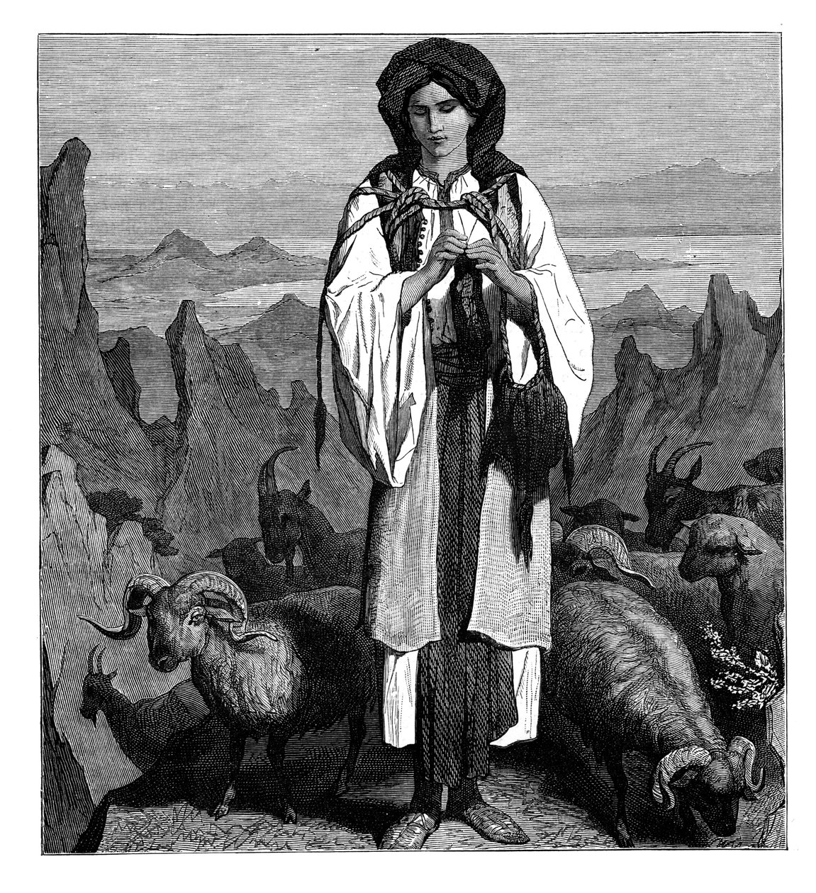 Pastora albanesa, c1890 de Unbekannt